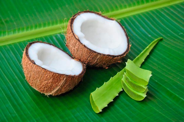 aceite de coco y aloe vera aceite de coco y aloe vera